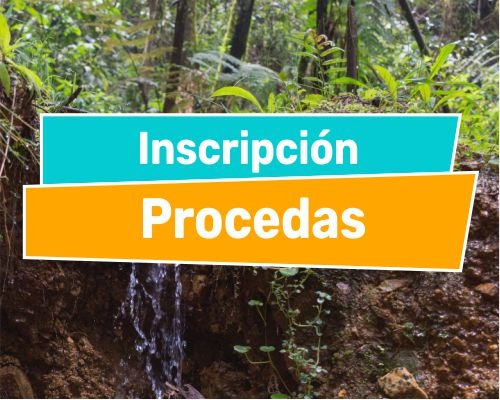 Inscripciones Procedas